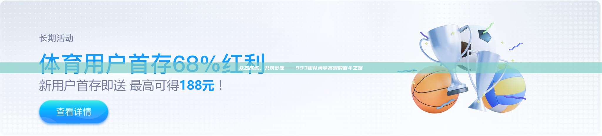 众志成城，共筑梦想——993团队勇攀高峰的奋斗之路