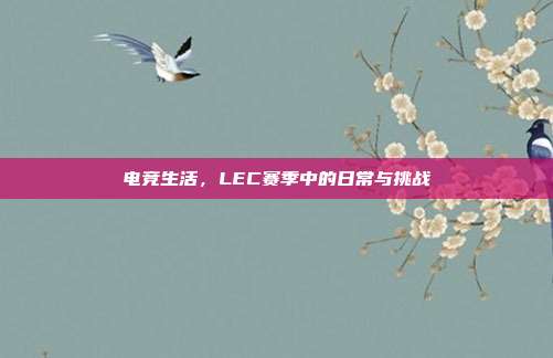 电竞生活，LEC赛季中的日常与挑战