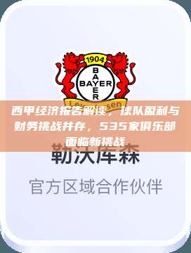 西甲经济报告解读，球队盈利与财务挑战并存，535家俱乐部面临新挑战