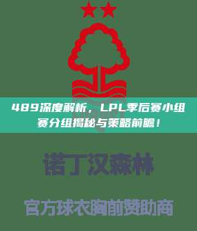 489深度解析，LPL季后赛小组赛分组揭秘与策略前瞻！