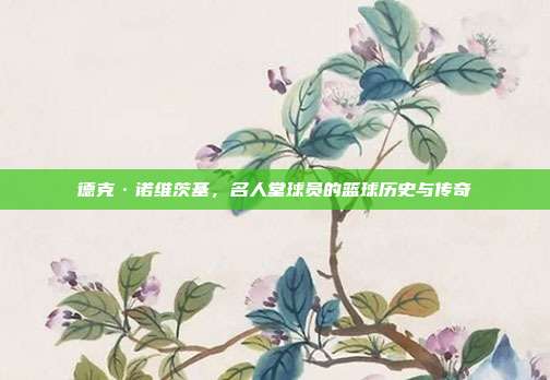 德克·诺维茨基，名人堂球员的篮球历史与传奇