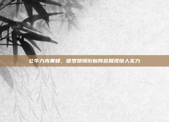 公牛力克黄蜂，德罗赞领衔新阵容展现惊人实力